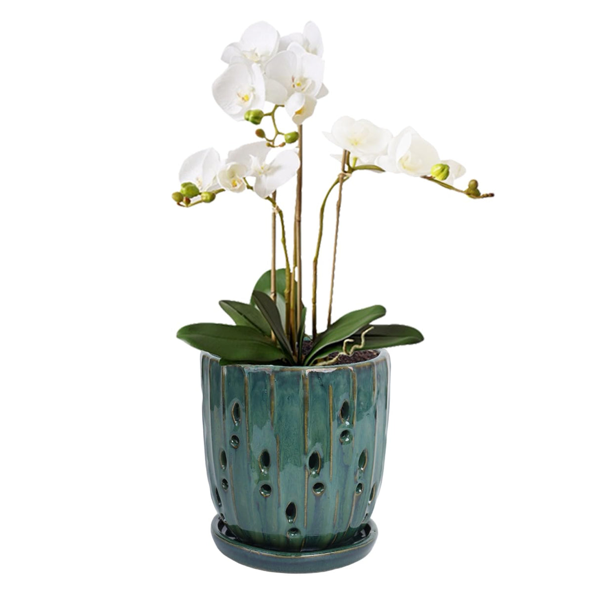 vensovo 6-inch ceramic orchid pot front view showing sleek design for stylish indoor planting