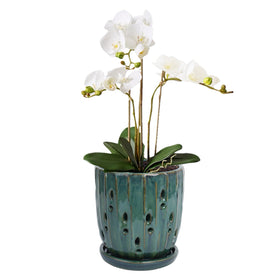 vensovo 6-inch ceramic orchid pot front view showing sleek design for stylish indoor planting