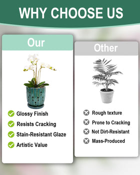 vensovo 6-inch ceramic orchid pot with holes elevates indoor decor with functional drainage