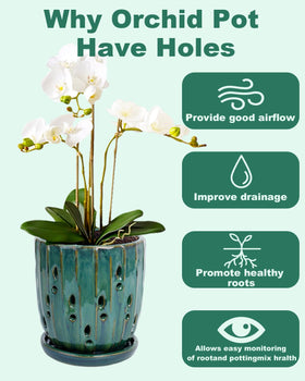 vensovo 6-inch ceramic orchid pot with holes showcases durable glazed finish for reliable outdoor use