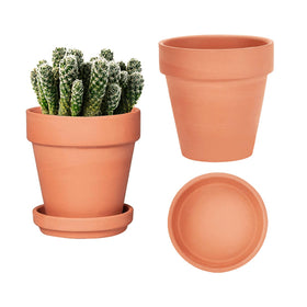 Vensovo 6-inch terracotta pot with saucer front view for stylish indoor displays