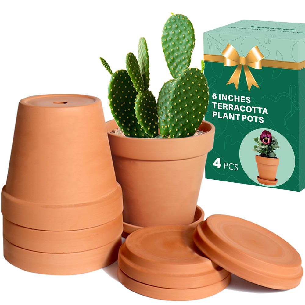 Vensovo 6-inch terracotta pot with saucer for clean indoor use and drainage.