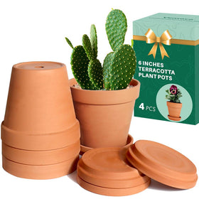 Vensovo 6-inch terracotta pot with saucer for clean indoor use and drainage.
