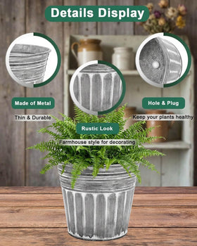 vensovo pot indoors on windowsill, rustic farmhouse style enhances living spaces.