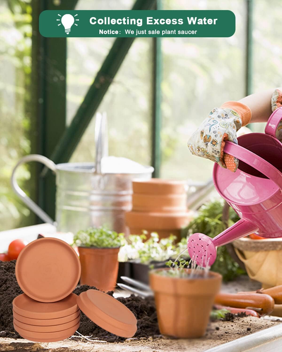 vensovo 6-inch terracotta plant saucer inner diameter provides ample space.