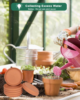 vensovo 6-inch terracotta plant saucer inner diameter provides ample space.