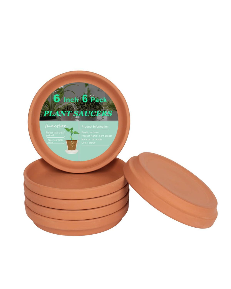 vensovo 6-inch terracotta plant saucer top view for clean drainage and soil containment.