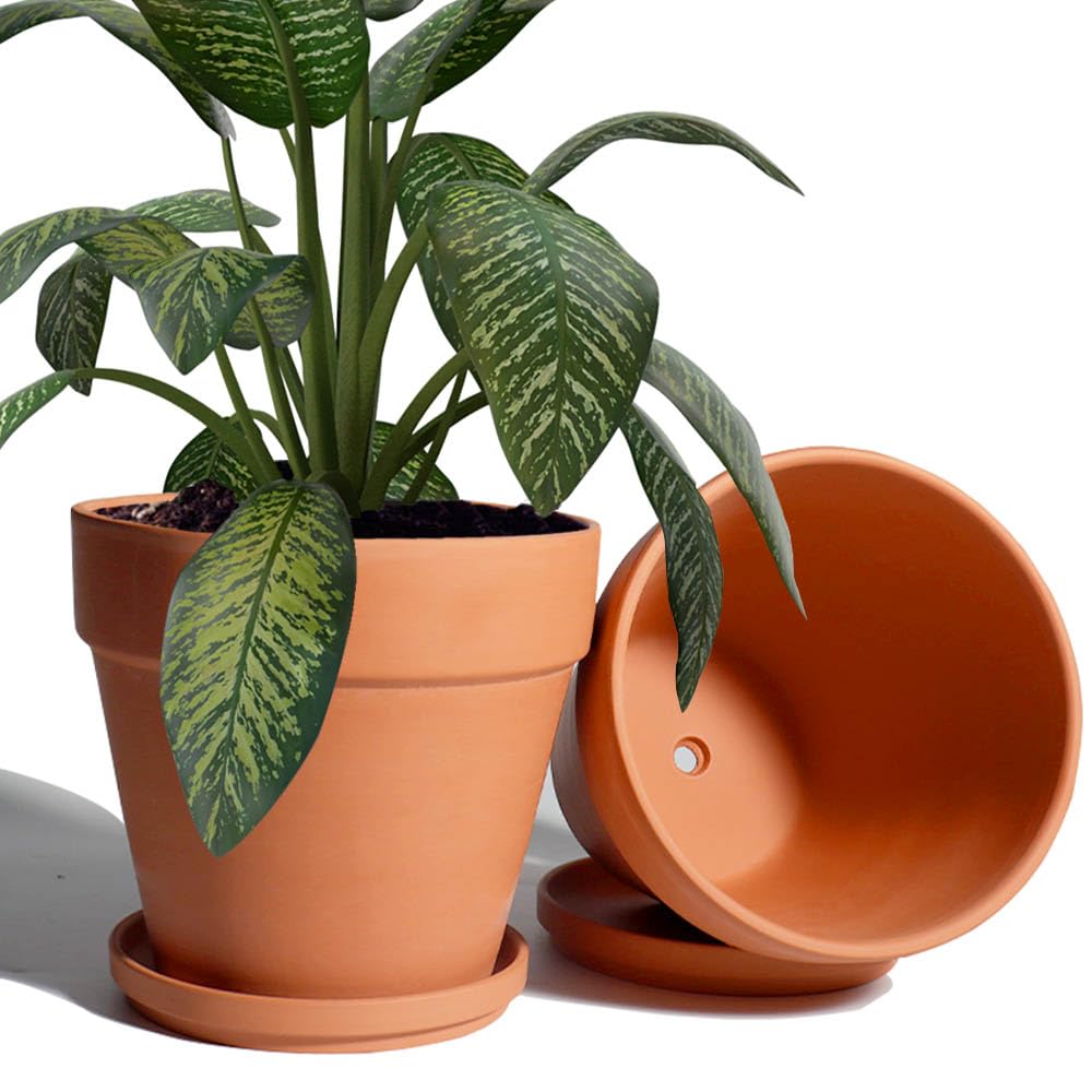Vensovo 8-inch clay pot with drainage hole and saucer for indoor plants.