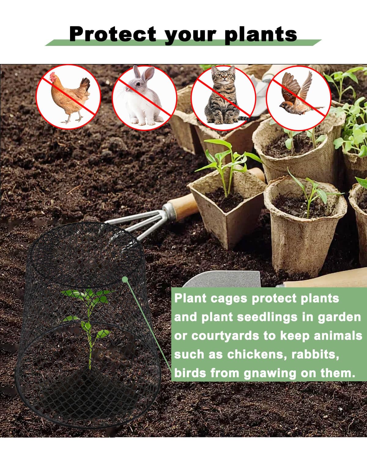 Vensovo 9-inch cloche plant protector lets light and air reach seedlings