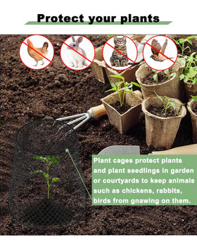 Vensovo 9-inch cloche plant protector lets light and air reach seedlings