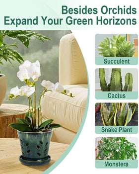Vensovo beginner-friendly orchid pot offers reliable drainage for easy care.