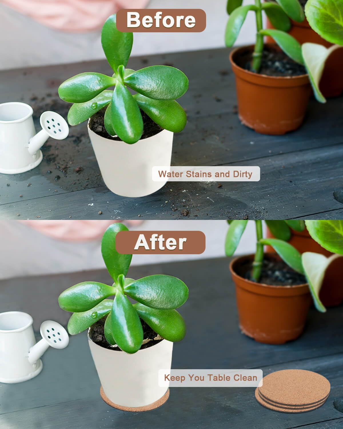 vensovo cork plant coaster indoor-outdoor-use on balcony or window sill.