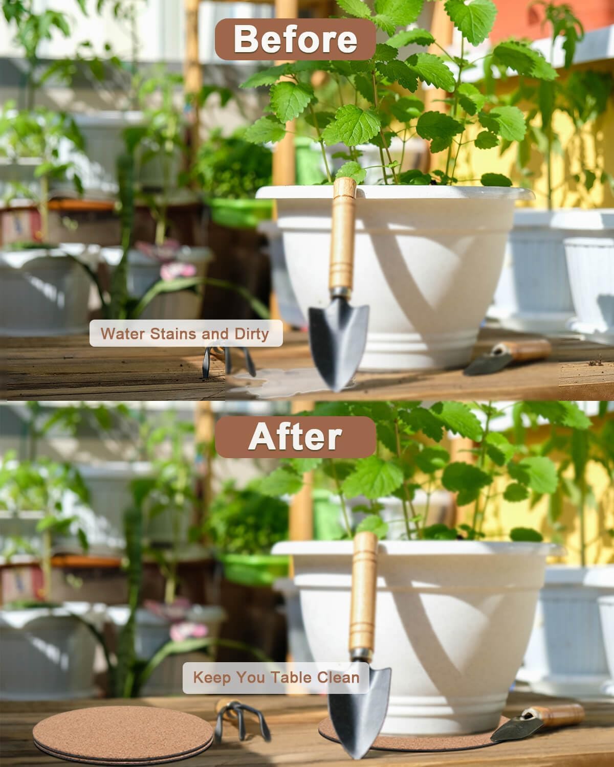 Vensovo cork plant coaster two-pack for versatile use