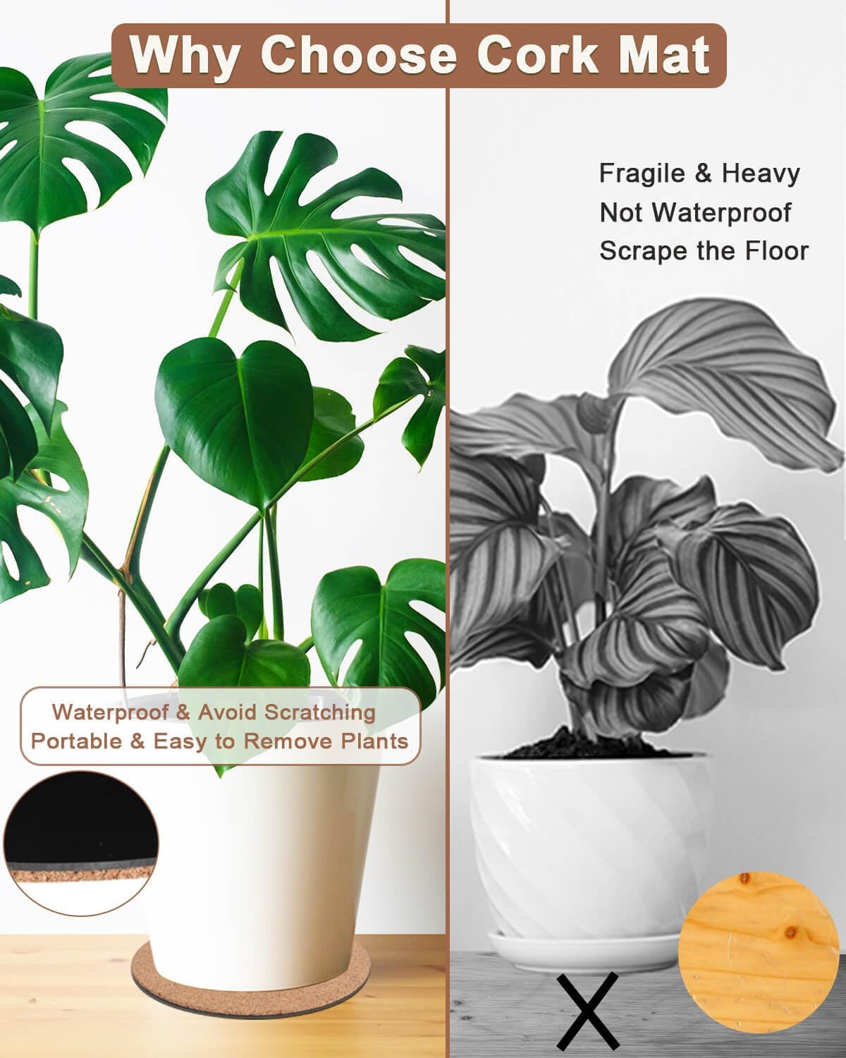 vensovo Cork Plant Coasters used in a DIY plant display base.