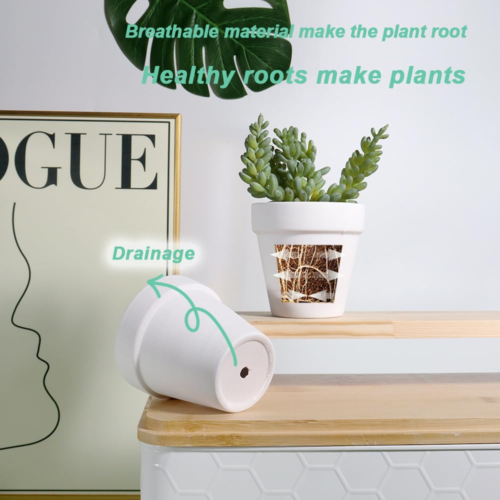 Vensovo indoor-outdoor terracotta pot for shelves, balconies, and desks.