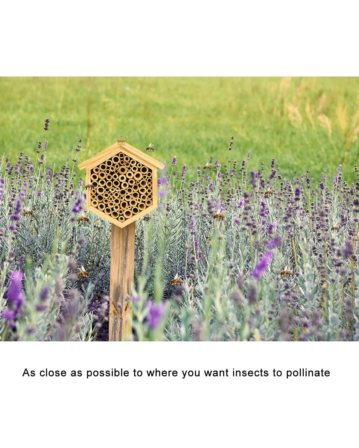 vensovo mason bee house helps attract pollinators to increase garden productivity over time.