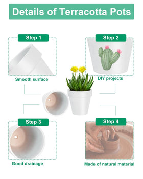 Vensovo mini terracotta pot for succulents and compact indoor decor.