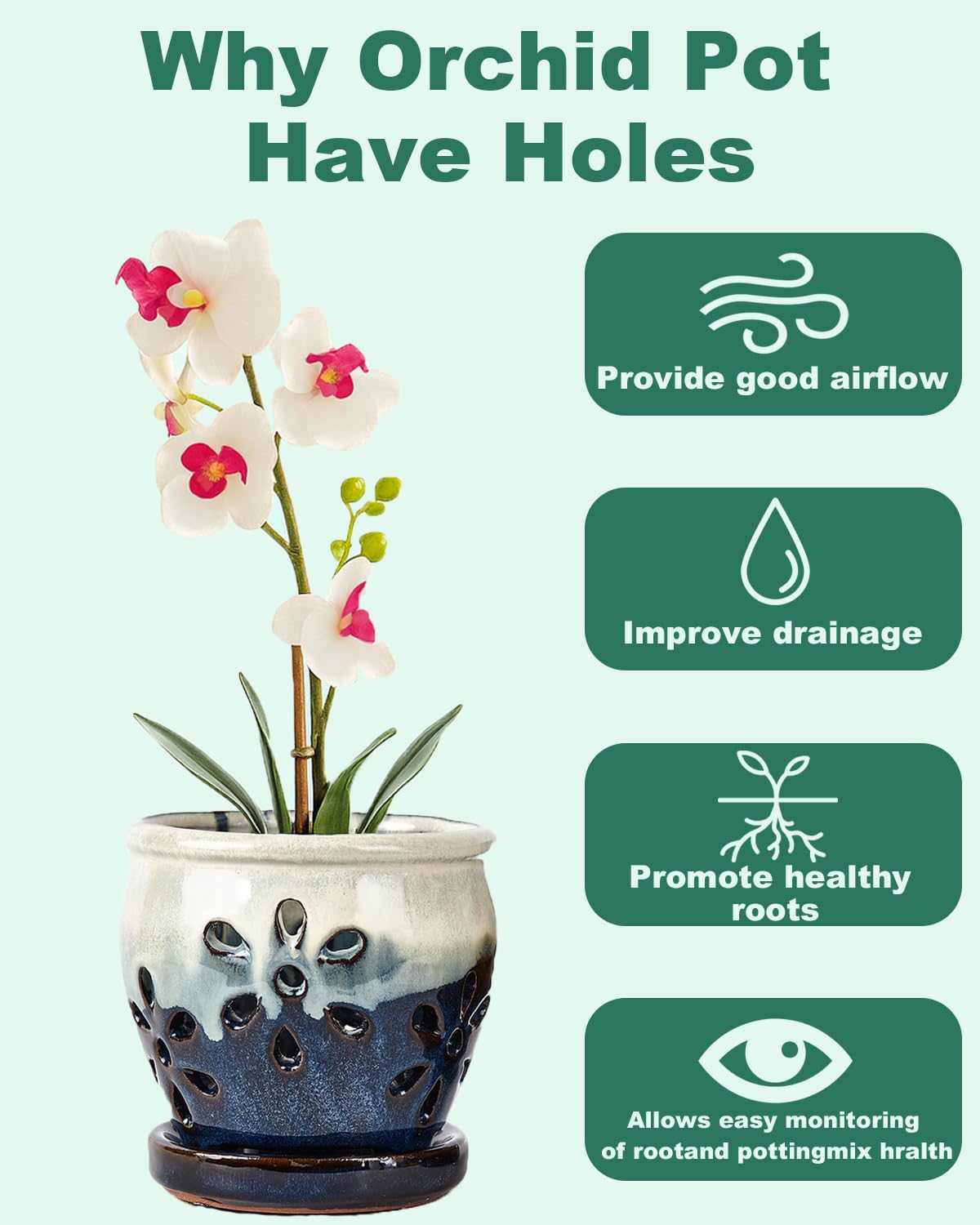 Vensovo ceramic planter shown with orchid in a bright home office