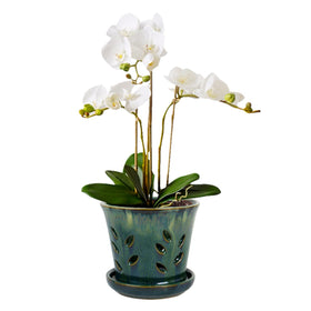 Vensovo orchid pot with holes enhances airflow for healthy roots.