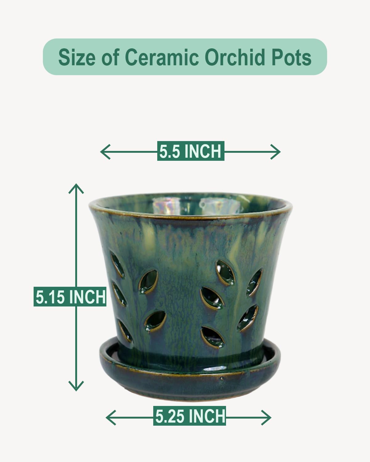 Vensovo orchid pot with saucer attached prevents spills and keeps surfaces clean.