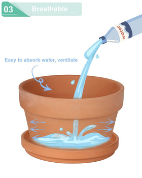 Vensovo succulent in pot demonstrates ideal drainage for dry soil.