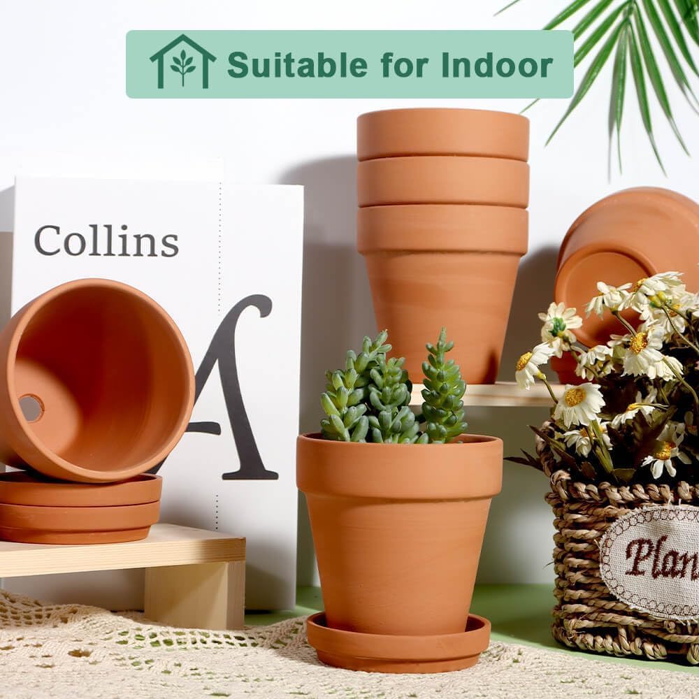 vensovo succulent on windowsill demonstrates space-saving terracotta design