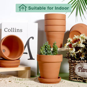 vensovo succulent on windowsill demonstrates space-saving terracotta design