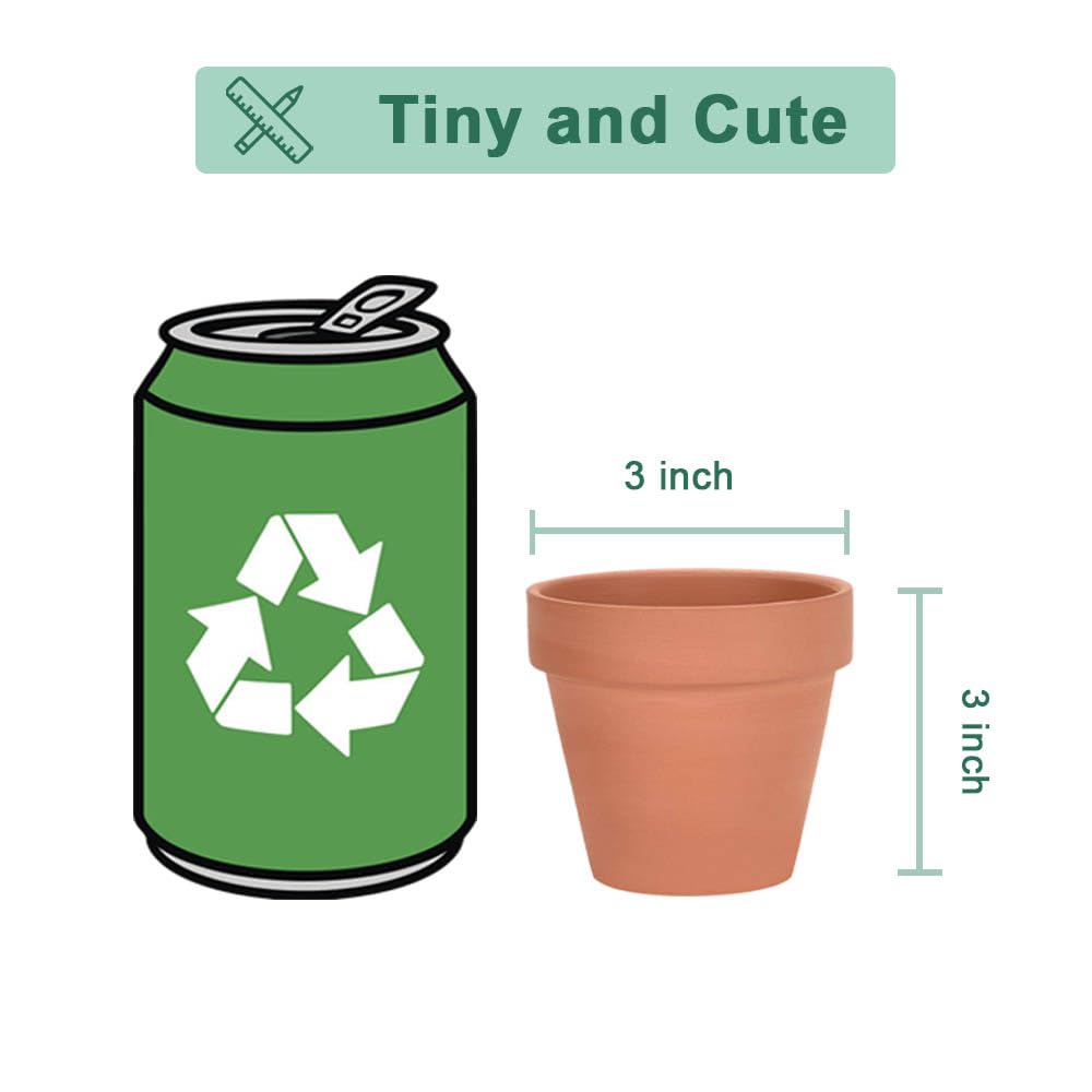 vensovo 3-inch pot ideal for succulent display