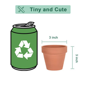 vensovo 3-inch pot ideal for succulent display