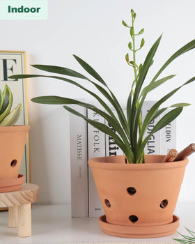 vensovo orchid pot close-up shows breathable terracotta and ventilation holes