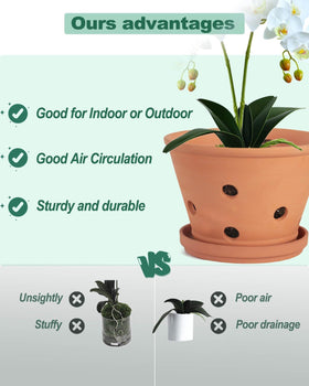vensovo orchid pot indoors on a bright windowsill