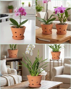 vensovo orchid pot during repotting with fresh mix and roots