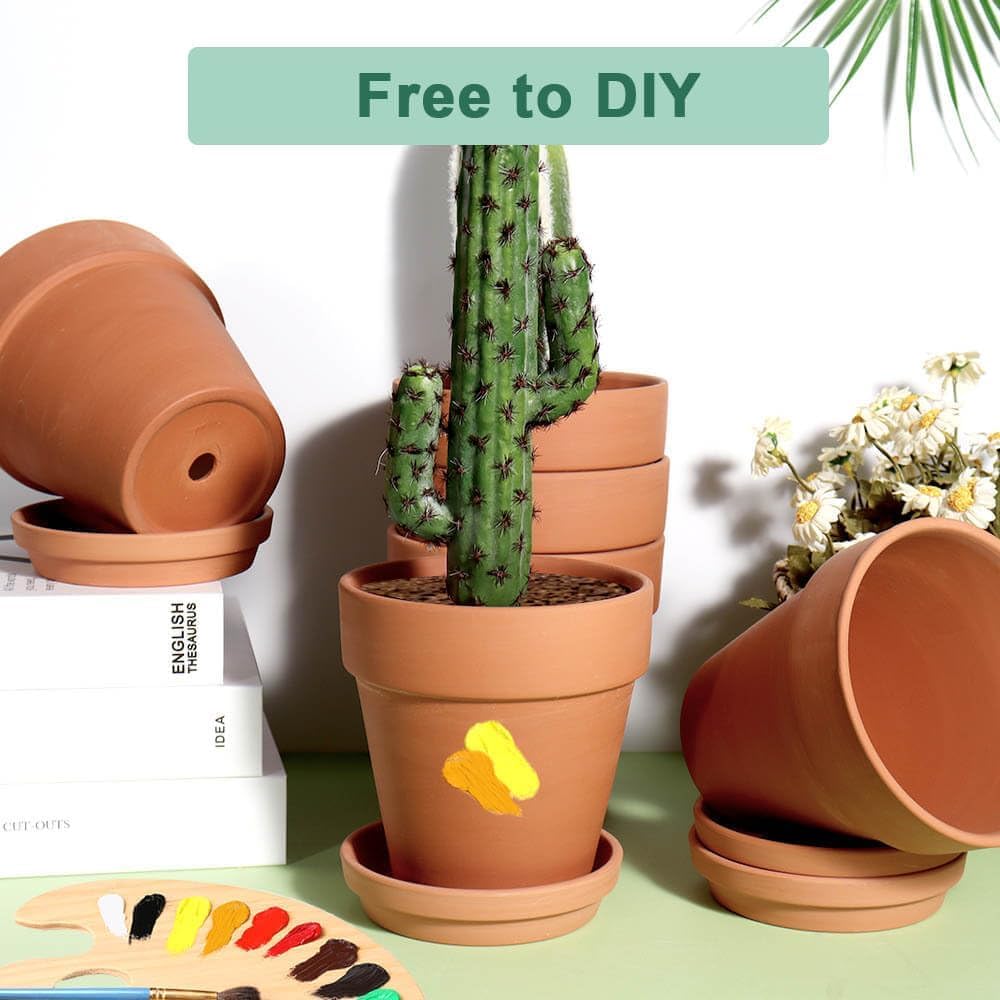 vensovo terra cotta pot 5 inch with succulents or cactus, ideal for compact planters