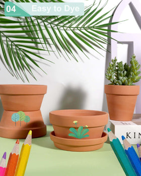 Vensovo terra cotta pot favors dry soil for cacti and succulents.