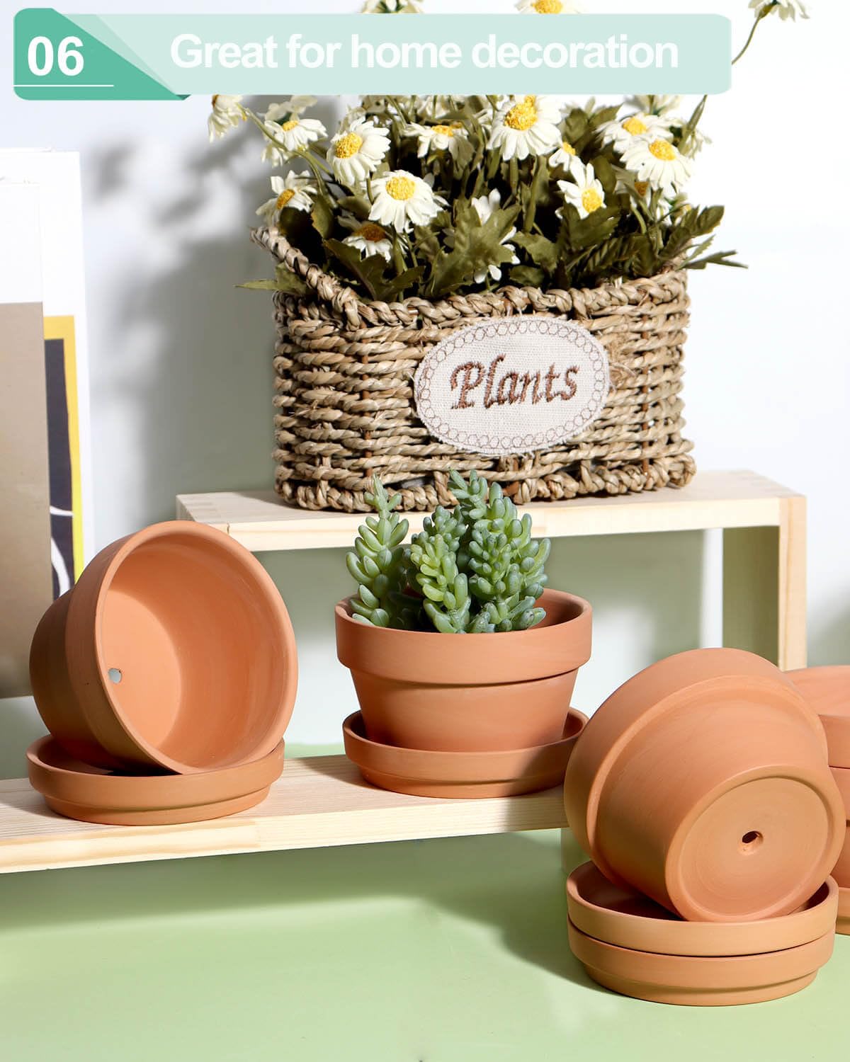vensovo 6-pack terracotta pots ready for mixed plant displays.