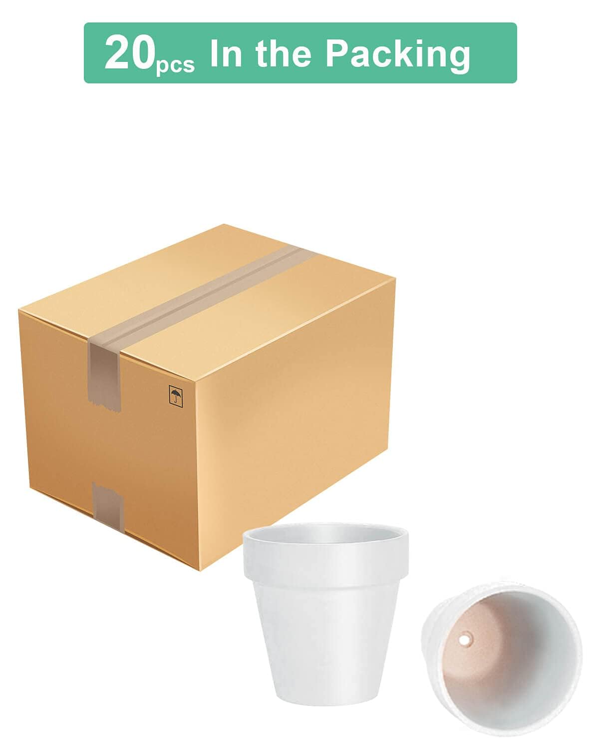 Vensovo 3-inch pot for classroom plant projects and learning.