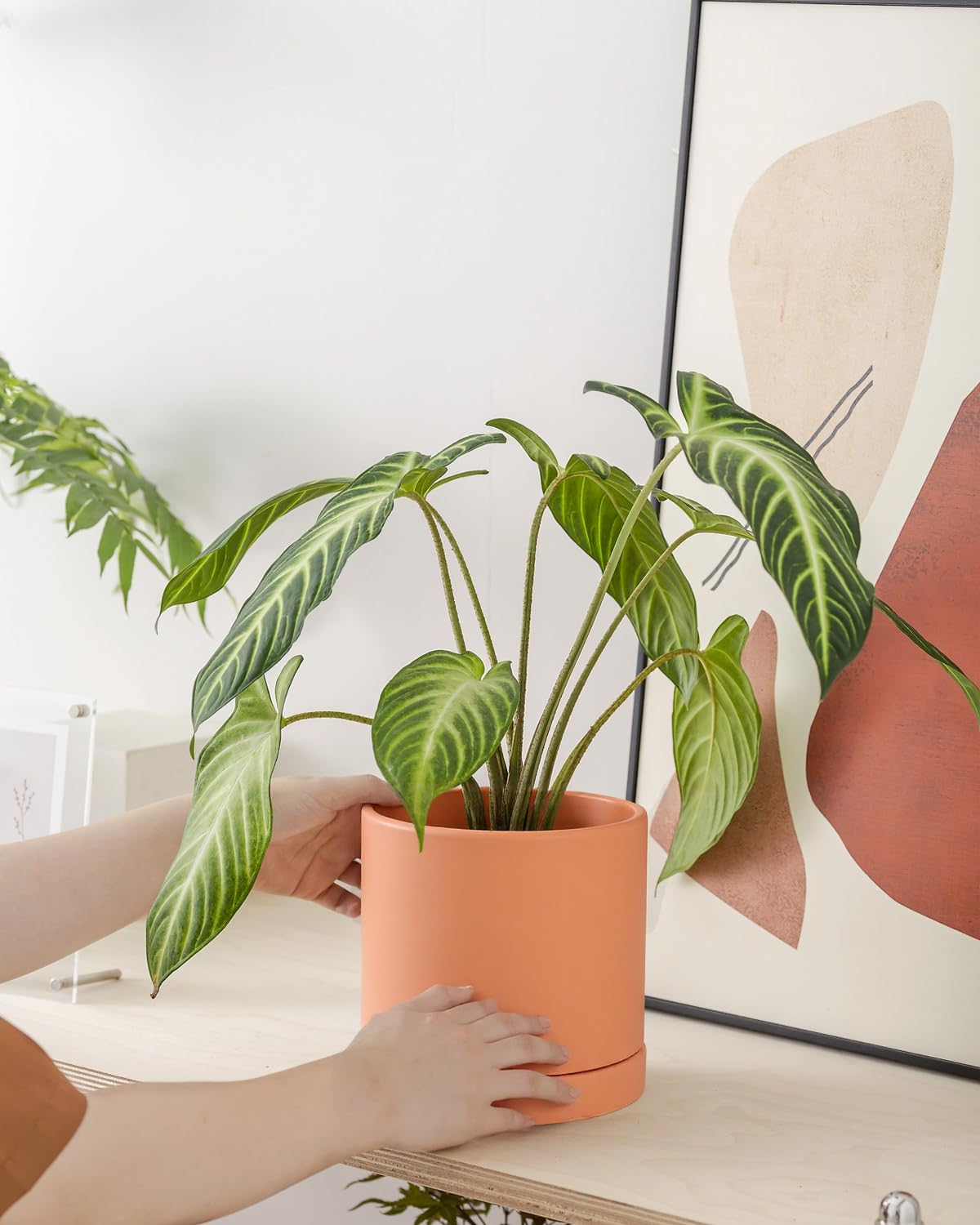vensovo terracotta pot desktop display with stylish earthy tone