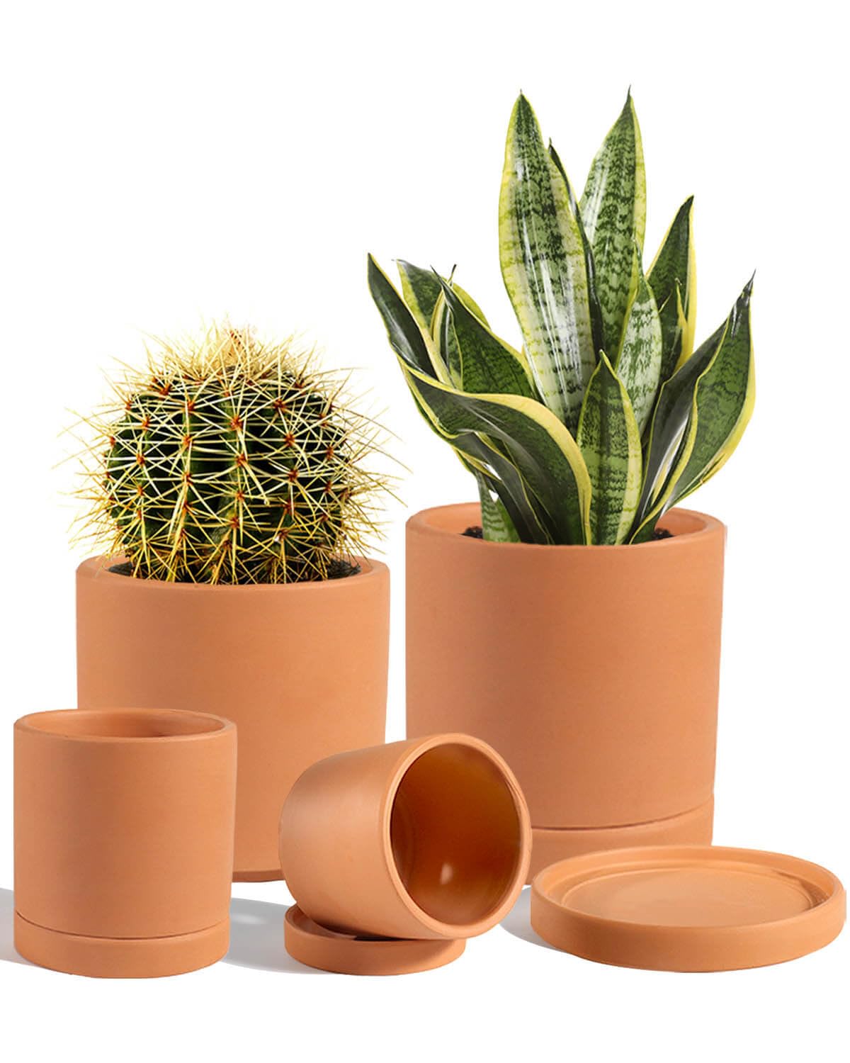 vensovo terracotta pot with drainage hole for healthy indoor succulents