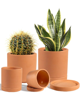 vensovo terracotta pot with drainage hole for healthy indoor succulents