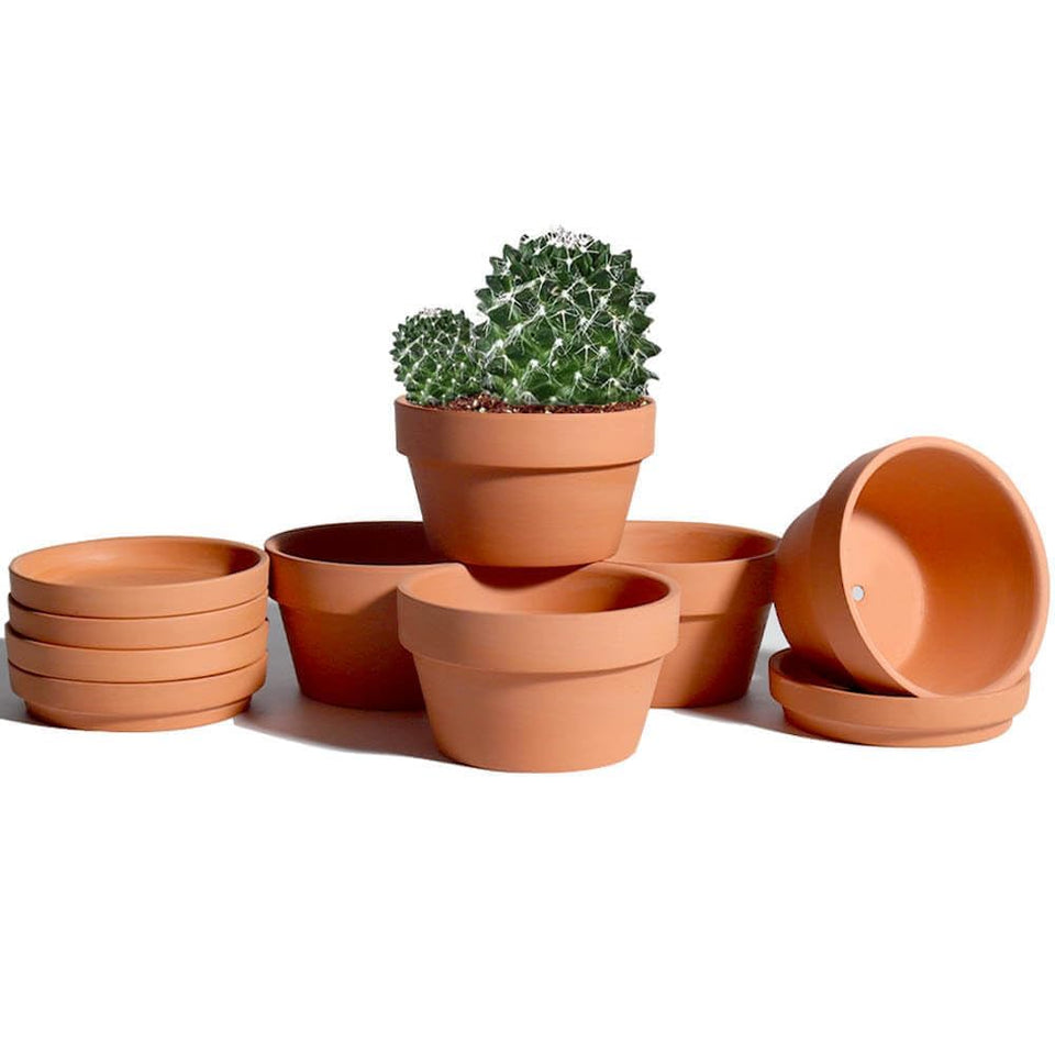 Vensovo terracotta pot with saucer pack enhances indoor plant display.