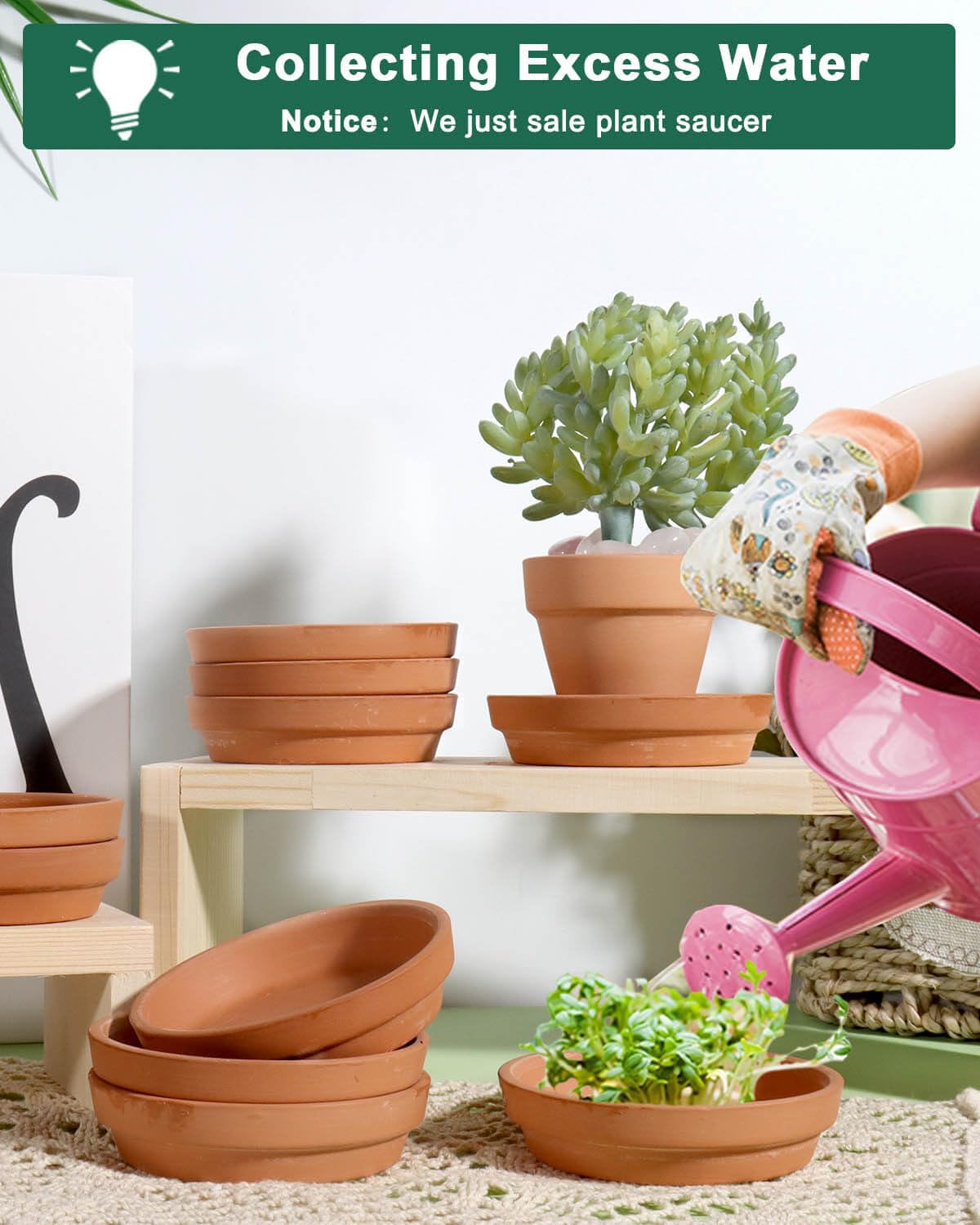 vensovo 2.5-inch saucer fits small terracotta pots and reduces mess