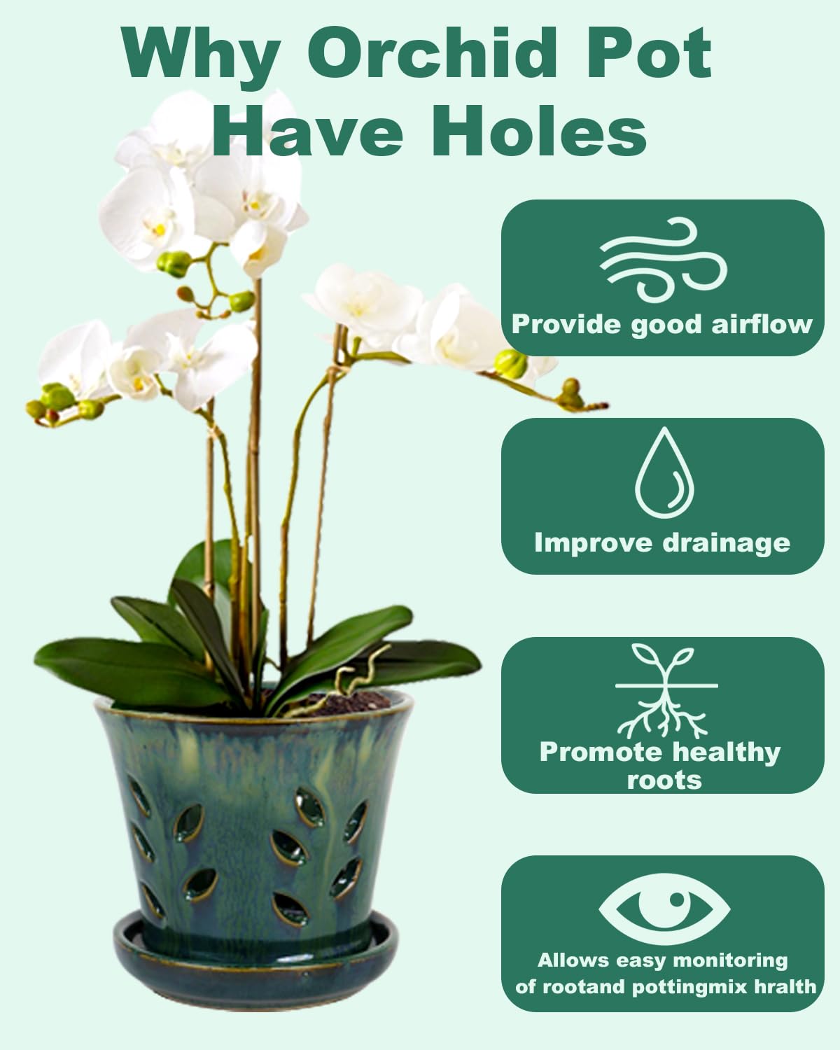 Vensovo versatile pot suited for orchids, succulents, and ferns indoors or outdoors.