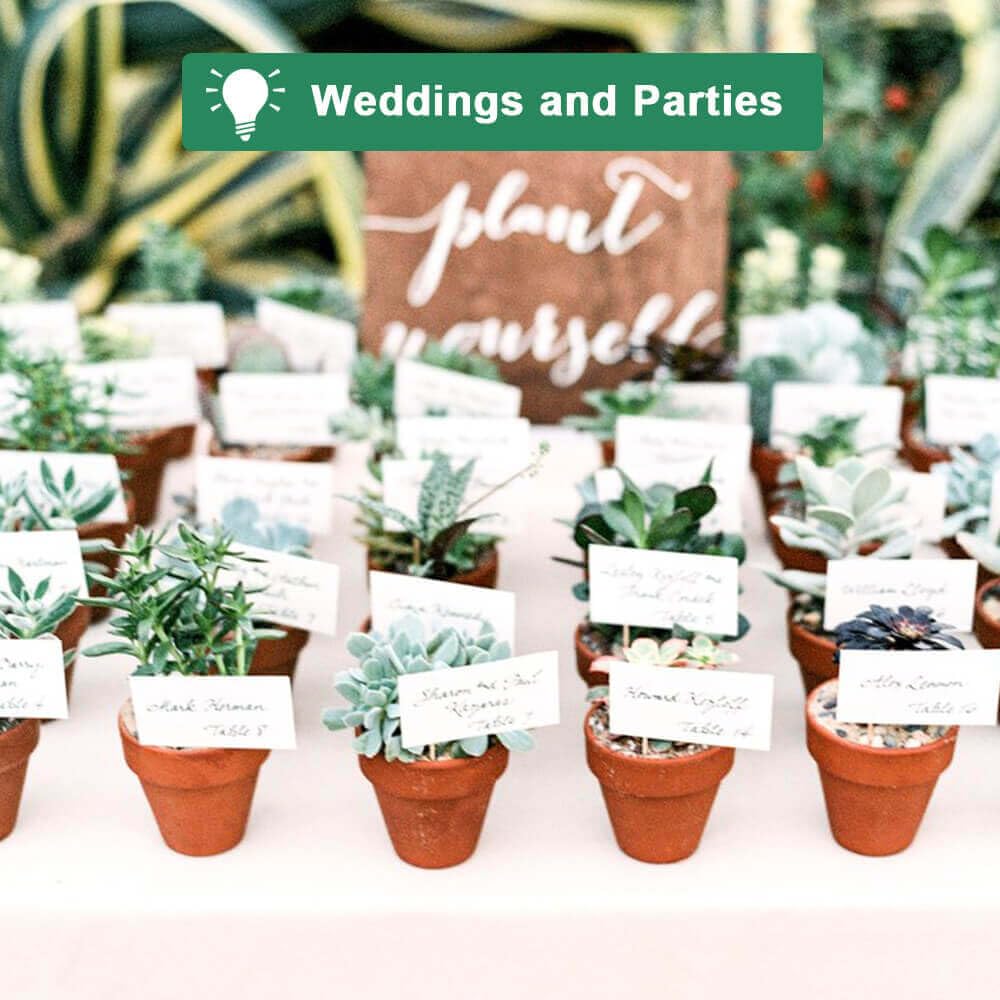 vensovo terracotta pots used as wedding decor accents