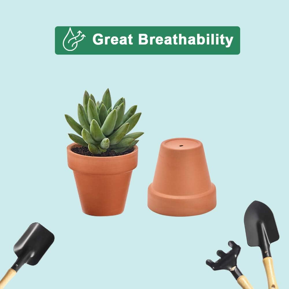 Vensovo mini pots ideal as wedding favors or event décor.