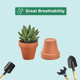Vensovo mini pots ideal as wedding favors or event décor.