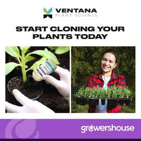 Ventana cloning gel is easy to apply in cloning workflows.