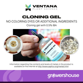 Ventana Plant Science gel with rapid rooter plug for propagation setup.