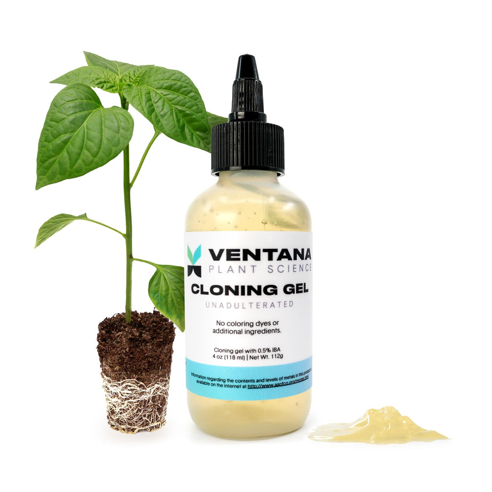 Ventana Plant Science Cloning Gel rooting action for cuttings and roots.