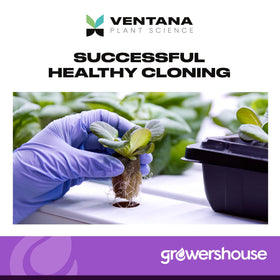 Ventana cloning gel with Vitamin B-1 added for plant vitality.