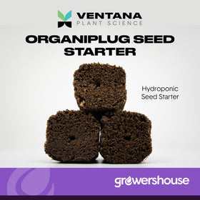 Ventana Organiplug hydroponic pod setup promotes efficient root development.